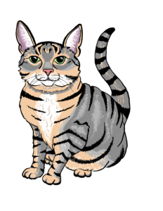 Mystic the cat illustration for the newsletter