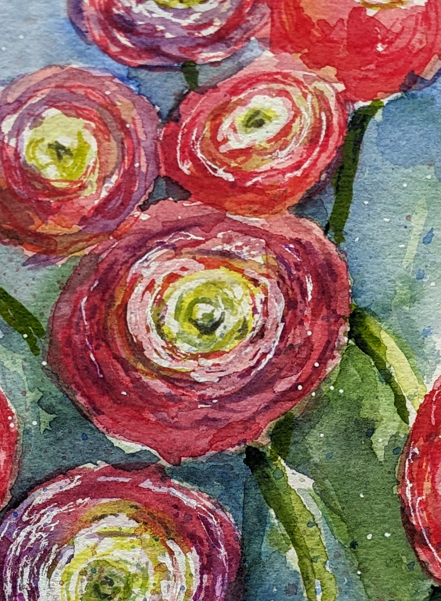 ranunculus detail2 lowres ranunculus detail2 lowres